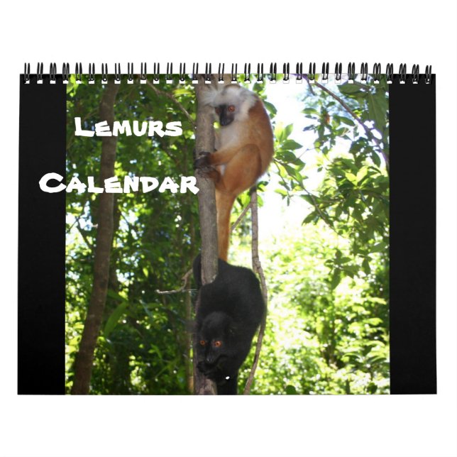 CALENDARIO LEAPING LEMURS (Tapa)