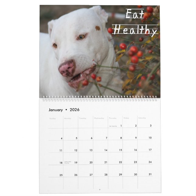 Calendario Lecciones de la niñez de la vida de Kahuna Luna (Jan 2026)