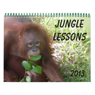 Calendario Lecciones de selva Vida silvestre Orangutans