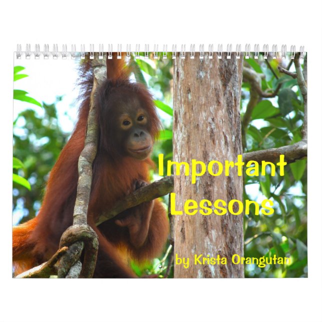 Calendario Lecciones importantes de Krista Orangutan Calendar (Tapa)