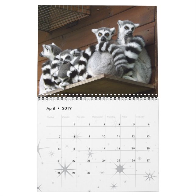 Calendario Lemur Wild Primate Bienvenido A Casa Destiny (Apr 2019)