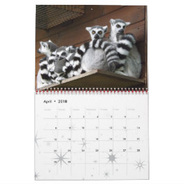 Calendario Lemur Wild Primate Bienvenido A Casa Destiny