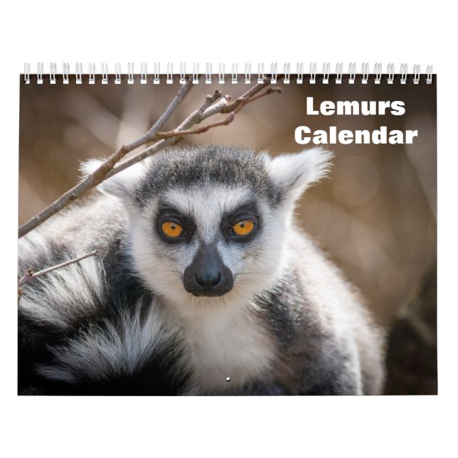 Calendario Lemurs 2025 (Tapa)