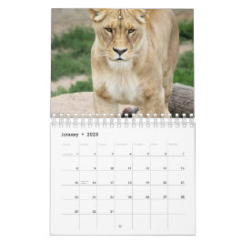 Calendario León