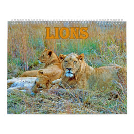 Calendario león