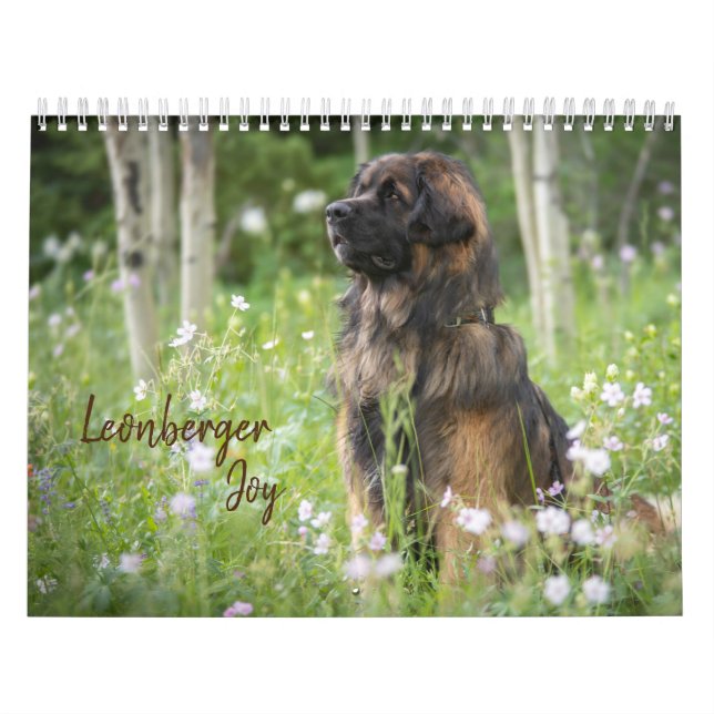 Calendario Leonberger Joy (Tapa)