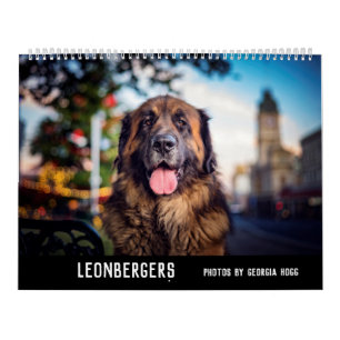 Calendario Leonbergers