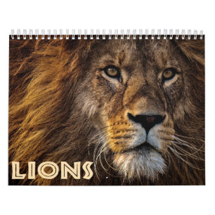 Calendario Leones Salvajes 2026