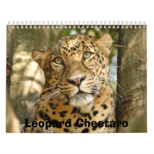 Calendario LeopardCheetaro013, leopardo Cheetaro