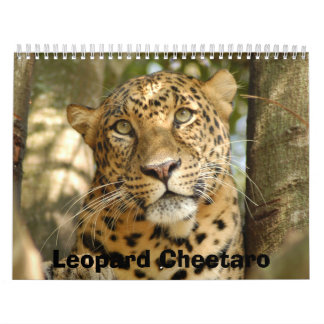 Calendario LeopardCheetaro013, leopardo Cheetaro
