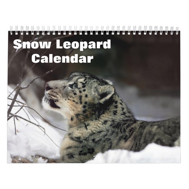 Calendario Leopardo de las nieves 2025 (Tapa)