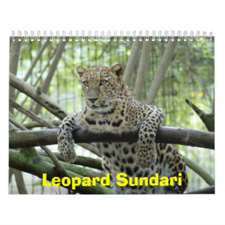 Calendario LeopardSundari_008, leopardo Sundari