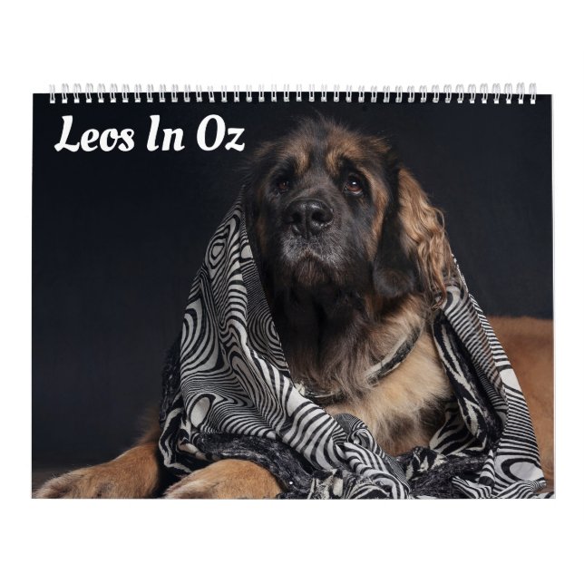Calendario Leos En Oz (Tapa)