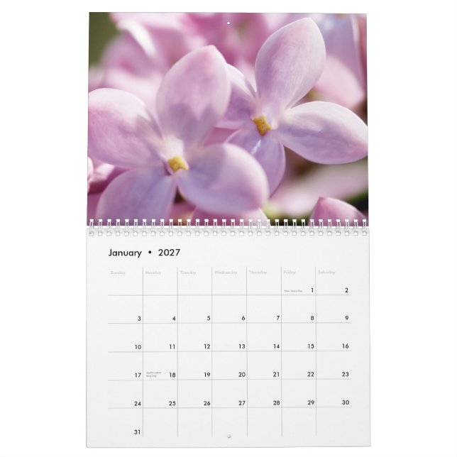 Calendario Lilas 2013 (12 meses) (Jan 2027)