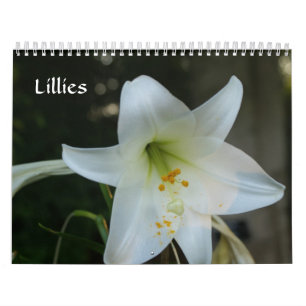 Calendario Lillies