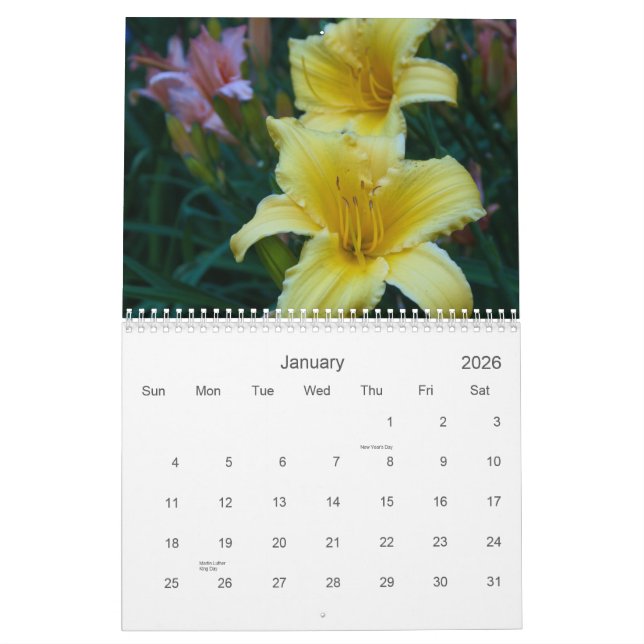 Calendario Lillies (Jan 2026)