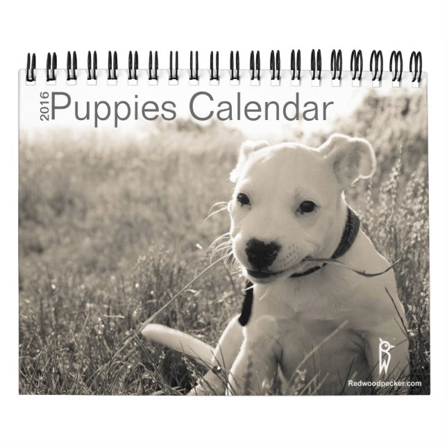 Calendario lindo 2016 de los perritos (Tapa)