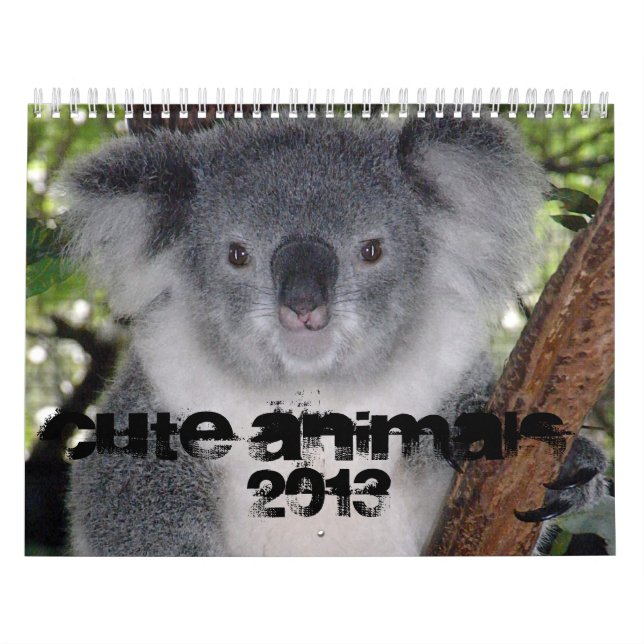 CALENDARIO LINDO DE LOS ANIMALES 2013 (Tapa)