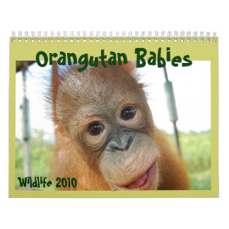 Calendario lindo de los bebés de la fauna de los