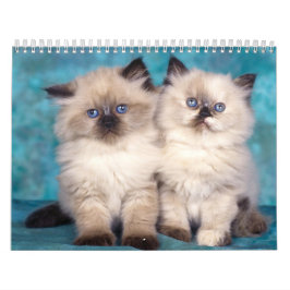 Calendario lindo de los gatitos