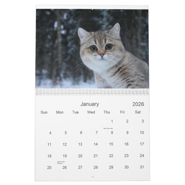 Calendario lindo de los gatitos 2012 (Jan 2026)