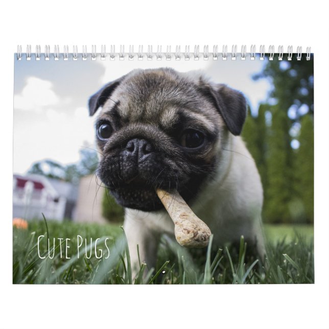 Calendario lindo de los perros de los barros (Tapa)