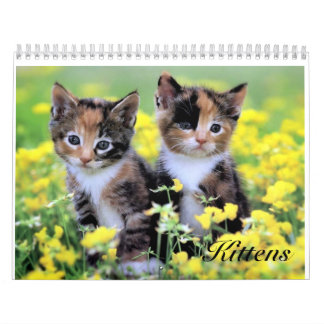 Calendario lindo del gatito