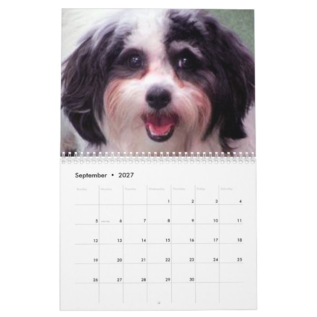 Calendario lindo del perro de 2020 K-ECO Zuchon (Sep 2027)