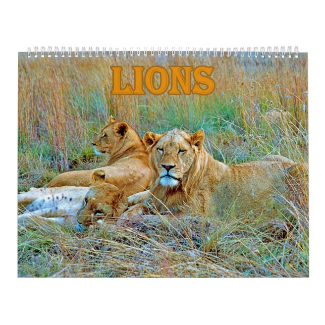 Calendario lion  (Tapa)