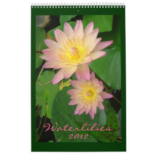 Calendario Lirios de agua 2012, Página Única
