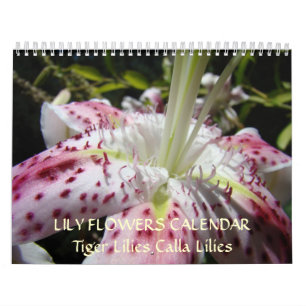 CALENDARIO LIRIOS Lirio de Calla Rosa Flores Lirio