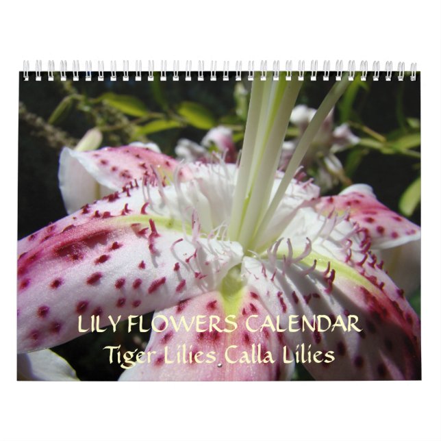 CALENDARIO LIRIOS Lirio de Calla Rosa Flores Lirio (Tapa)