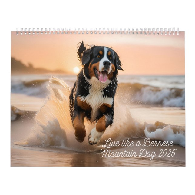 Calendario Live Like A Bernese 2025 Wall Calendar (Tapa)