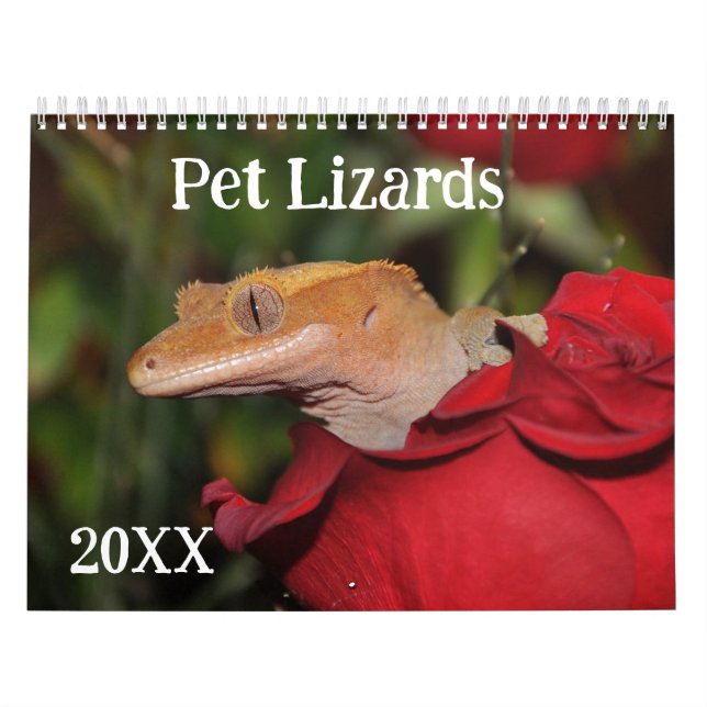 Calendario Lizards mascota (Tapa)