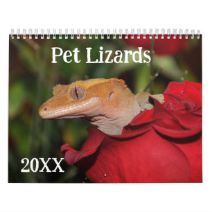 Calendario Lizards mascota