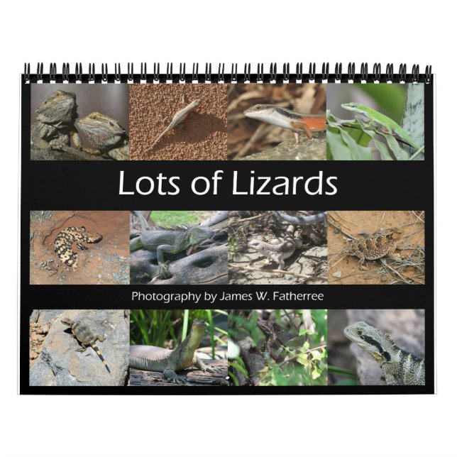 Calendario Lizards Wall Calendar de J.W. Padre. (Tapa)