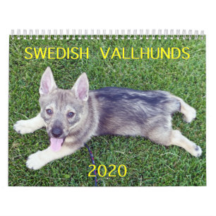 CALENDARIO LLAMADO SUECO DE VALLHUND 2020