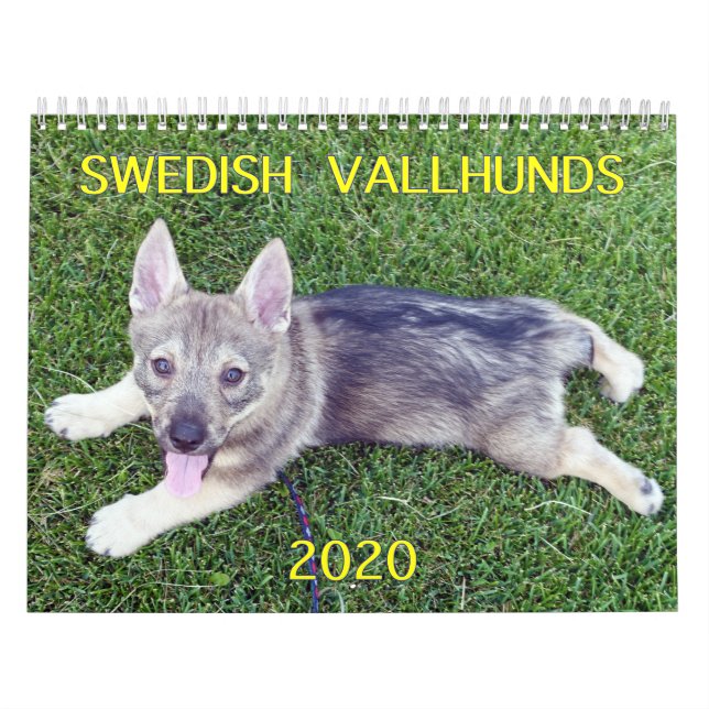 CALENDARIO LLAMADO SUECO DE VALLHUND 2020 (Tapa)