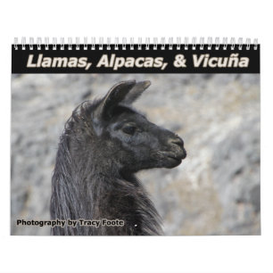 Calendario Llamas salvajes y Alpacas