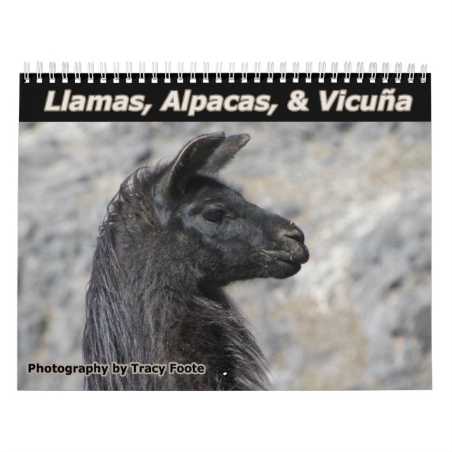 Calendario Llamas salvajes y Alpacas (Tapa)