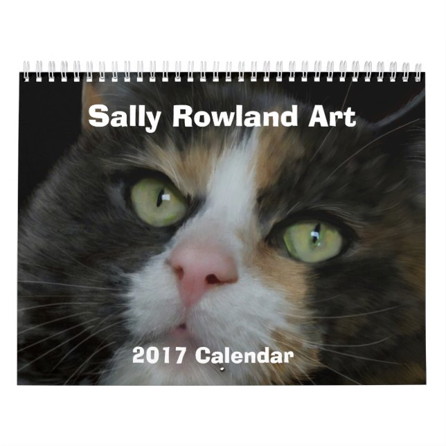 Calendario ¡Llover a cántaros! (Tapa)