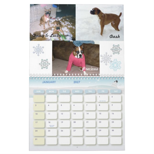 Calendario loco 2011 del boxeador (Jan 2027)