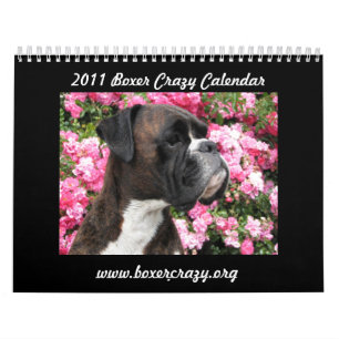 Calendario loco 2011 del boxeador