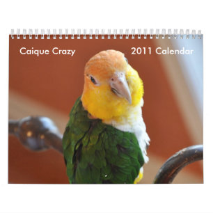 Calendario loco 2011 del caique