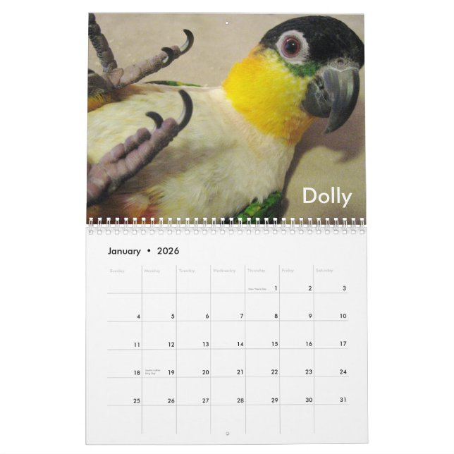 Calendario loco 2011 del caique (Jan 2026)
