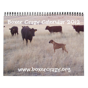 Calendario loco 2012 del boxeador