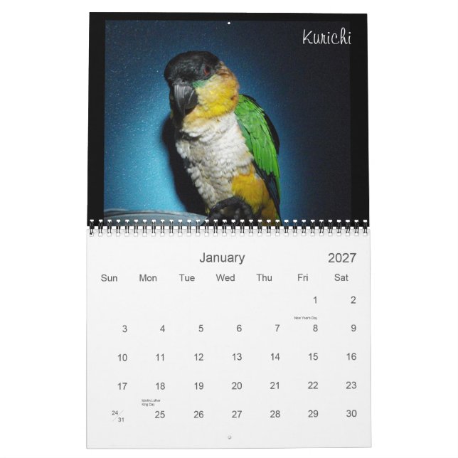 Calendario loco 2012 del caique (Jan 2027)