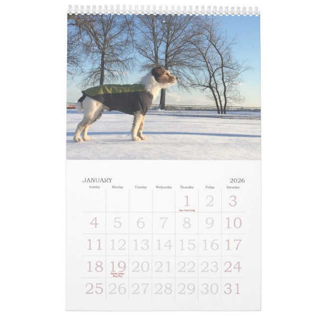 Calendario Loki 2020 (Jan 2026)