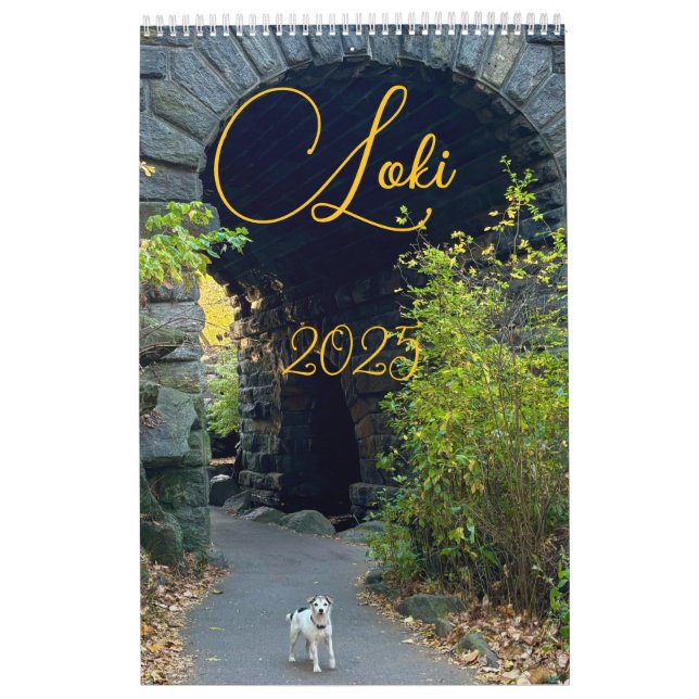 Calendario Loki 2025 (Tapa)
