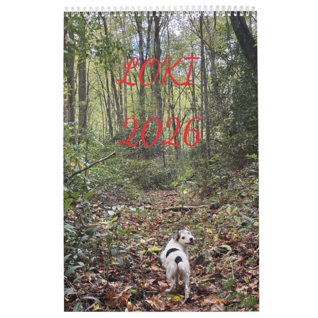 Calendario loki 2026 (Tapa)